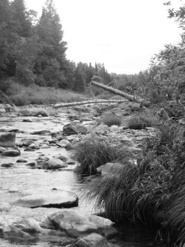 photo que jai prise a la rivière au chalet ! jadore trop cette...