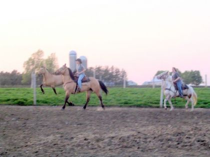 Wow !! super belle photo !! :) (Sarah =xcavaliax avec Stacy Et...