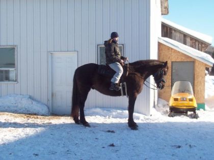 photo par loveehorse