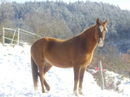 photo par Kissmedu48 Kiss me avec encore de la neige