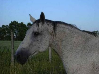 Ahhh jamais je vais t'oublier ma belle!
