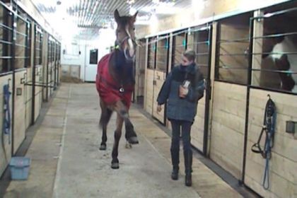 Jambette...belle extention et belle hauteur!