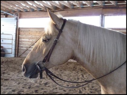 Dolly (L) J'adooore son oeil la dessus ! :-)