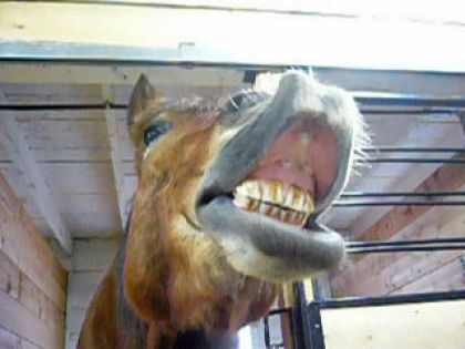 Je sais mon sourrire est très charmeur!