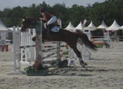 Moi et la jument de ma soeur, Lamotte Beuvron 2006