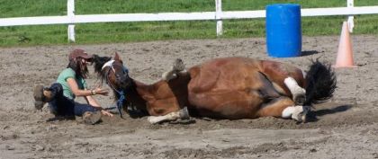 Ahaha!! Je me couche. il se couche, je me rassois, il se...