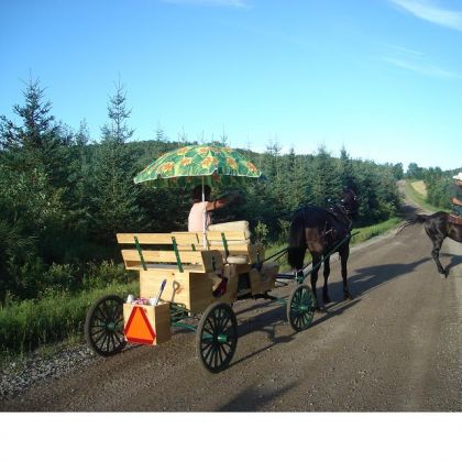 Lors de ma ride de la semaine passée !  Pendant 4 jours se...