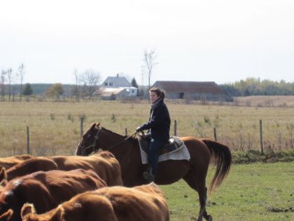 Cet été au joual vair 