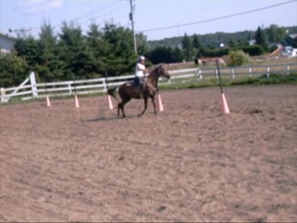 Moi et et Princesse au slalom a st-paulin au gymkhanna amateur !!