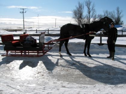 Ma nouvelle sleigh ann&eacute;e 2010 hehe