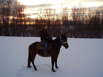 Moi et ma pouliche en rando sous le coucher du soleil