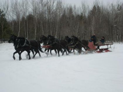 On a attelé notre '6' a Drummond aujourd'hui! Ça vraiment bien...
