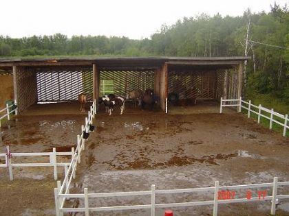 Apportez en de la pluie :)