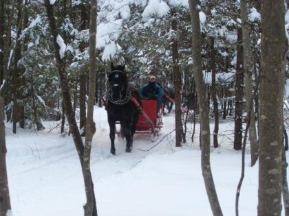 Mes 2 amours en cette belle après midi de Janvier.