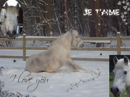 Cortes un  poney qui est parti :'( 