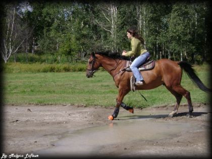 tjrs moi et bob :)