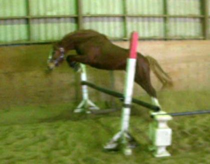 Karelli intense sur un oxer a 2p9 !!!
