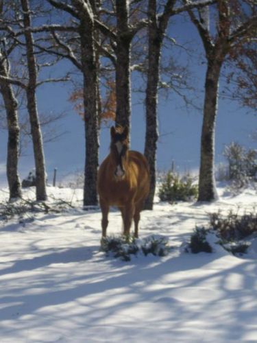 photo par Kissmedu48 C'est beau la neige mais le soleil on le regraite