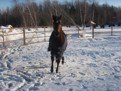 Il est en pleine forme et adore courrir dehors