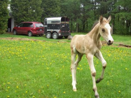 thunder en pleine actionnn
