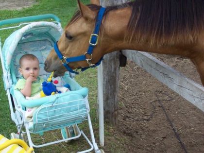 Épona vol toujours les jouets d'Élya