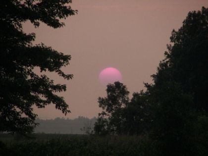 Couché de soleil dans un champ