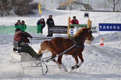 Derby St-Hubert, un Canadien qui a l'air d'adorer &ccedil;a!