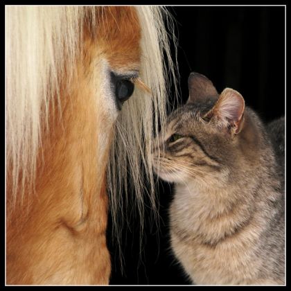Encore Jamila et son ami. :)
