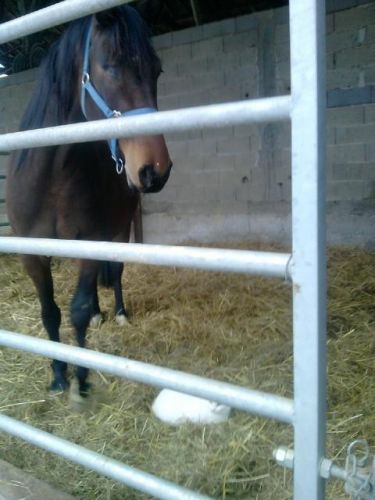 Decy & minoux dans le box <3
