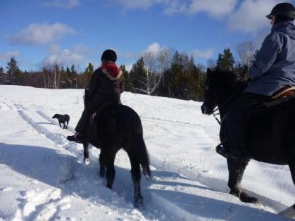 Ma soeur et son poney, ma mere et son Canadien et.... mon chien...
