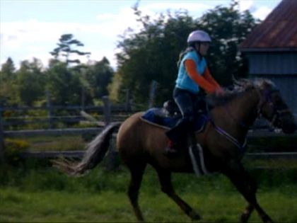 Moi et Princesse au galop dans le champs!!