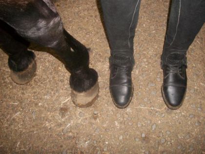 photo par Napoleon