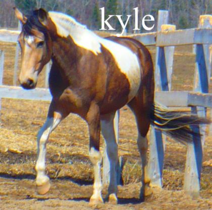 Kyle