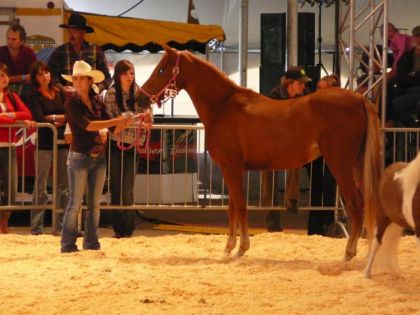 Moi et Sheza a l'expo