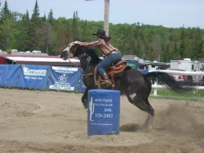 premier gymkhana ya 2 ans