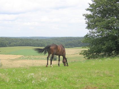 Liberté cloturée mais vue superbe...