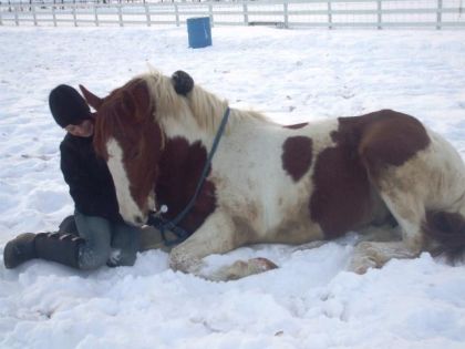 magic et moi.maudit que je l'aime mon cheval !!