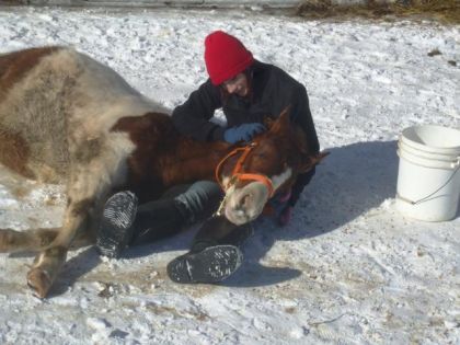 mon petit azaro : tapedans tes mains il s'accote sur toi et...