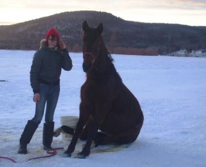 moi et montana (standarbred) je ressemble a un petit lutin !!