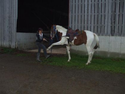 magic et la jambette