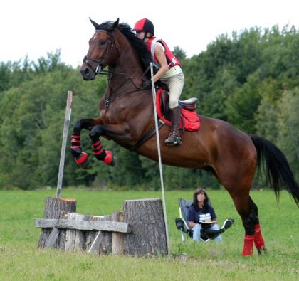Saut en cross