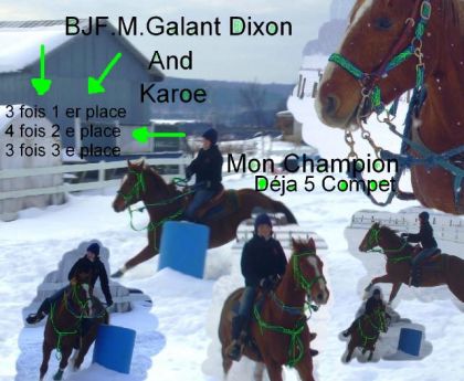moi et mon cheval de gymkhana