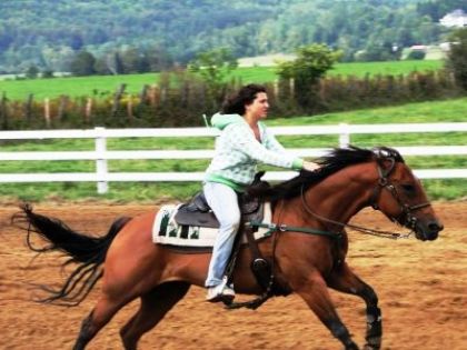 a notre gymkhana..fredoune et checksy royal king