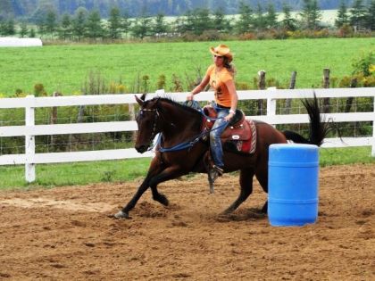 came au gymkhana (son premier gymkhana avec sa jument)