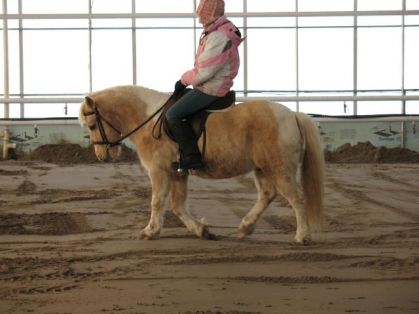 moi et mon poney
