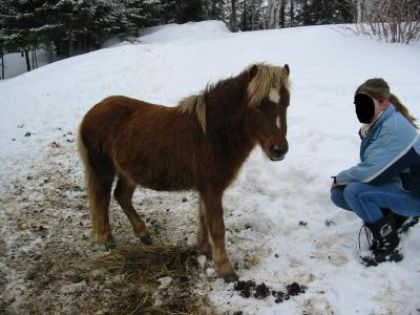 mon ancienne petite ponette mignonne son nom