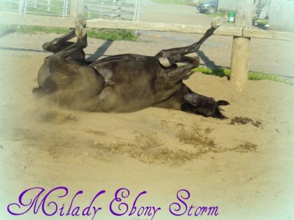 Milady qui se roule