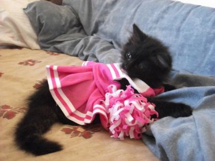 Ma PeTiTe ChEeRlEaDeR <3