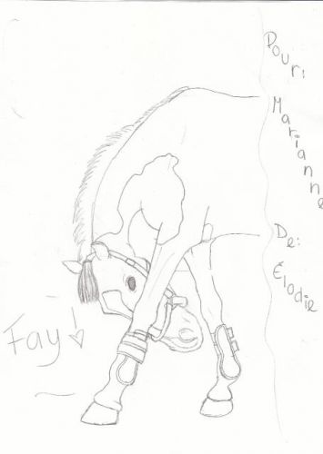Dessins que j'ai fait de Fay et Que j'ai donner a Marianne :-)