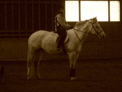 Encore moi et Alto ;-)